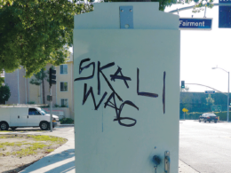 skaliwag1-crpd-cc.png